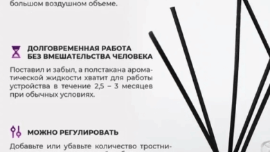 Photo of Ароматизаторы для создания уюта в доме